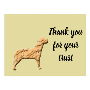 Veterinarian Thank You Cards | Zazzle.com.au