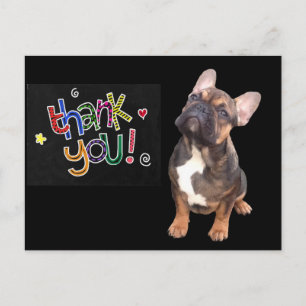 Thank you  Französische Bulldogge French Bulldog Postcard