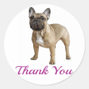 Thank You French Bulldog Puppy Dog Sticker