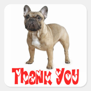 Thank You French Bulldog Puppy Dog Sticker