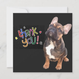 Thank you French Bulldogge postcard