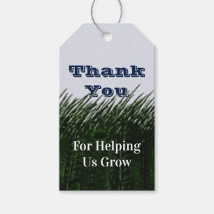 Thank You From Class Teacher Appreciation Gift Tags