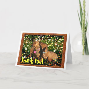 Thank You! From one Dachshund to another.......... You Card