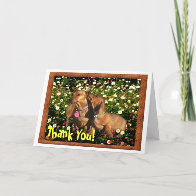 Thank You! From one Dachshund to another.......... You Card (Front)