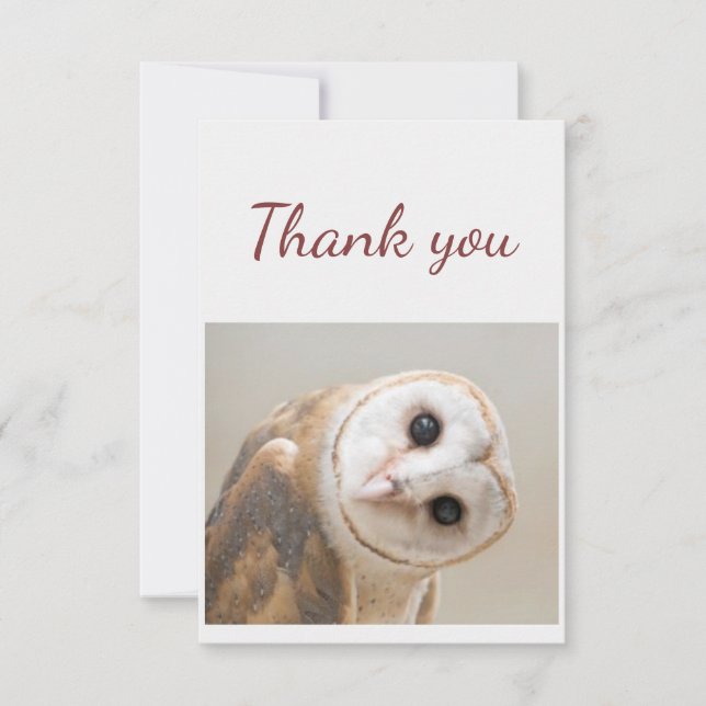  Thank You Fun Curious Barn Owl Bird Nature Art (Front)