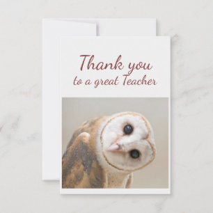 Thank You Fun Curious Barn Owl Bird Teacher Card