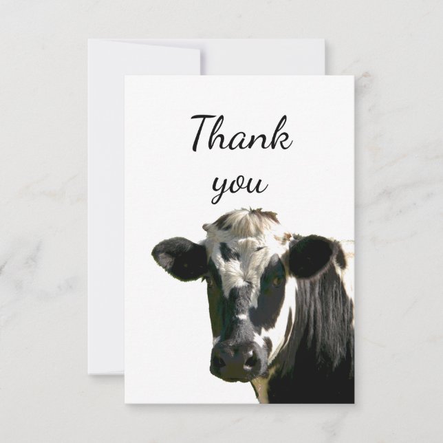 Thank You Fun Curious Holstein Cow Peeking out (Front)