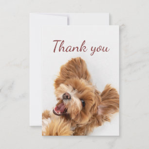 Thank You Fun Floofy Happy Puppy Dog Card