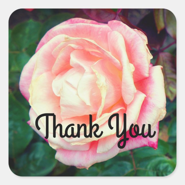Thank You Gemini Rose #1 Stickers (Front)