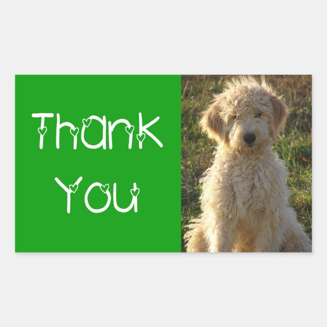 Thank You Goldendoodle Puppy Dog Sticker / Label (Front)