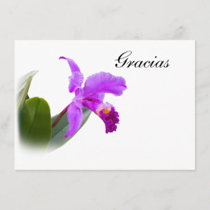 Thank You, Gracias, Spanish, Orchid Card