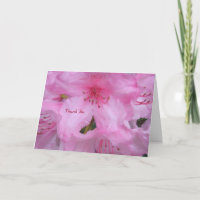 Thank You Greeting Card