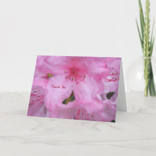 Thank You Greeting Card