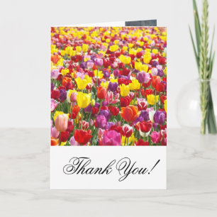 Thank You! Greeting Cards Tulip Flowers Thanks
