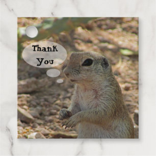 Thank You Ground Squirrel Photo Desert Animal Favour Tags