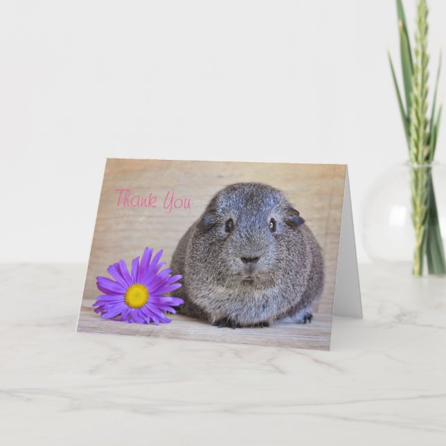 Thank You Guinea Pig Card Genera Daisy (Front)