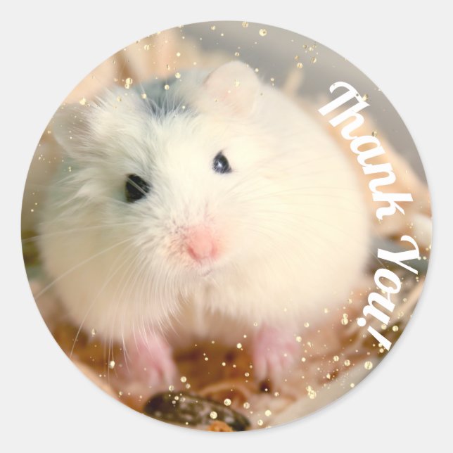 Thank You - Hammyville White Hamster Classic Round Sticker (Front)