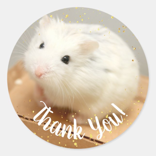 Thank You - Hammyville White Hamster  Square Stick Classic Round Sticker (Front)