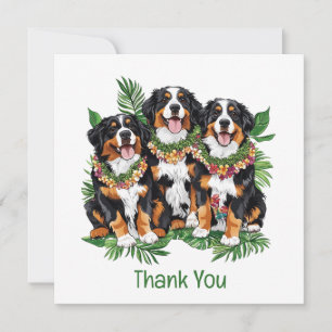 Thank You Hawaiian Bernese Mountain Dogs