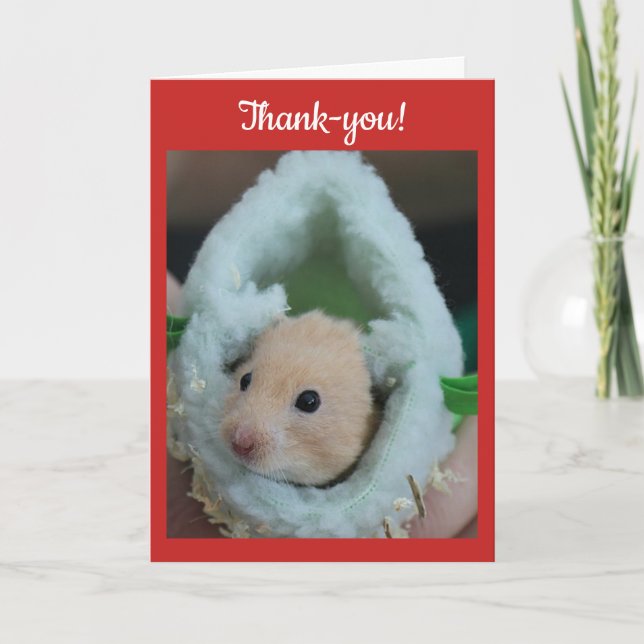 Thank-You Holiday Hamster Thank You Card (Front)
