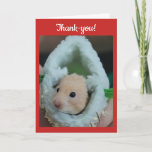 Thank-You Holiday Hamster Thank You Card
