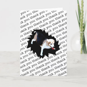 THANK YOU HOSPITALITY #2