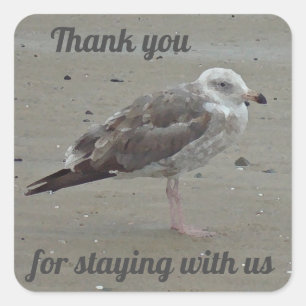 Thank You House Guest Artistic Seagull Beach Home Square Sticker