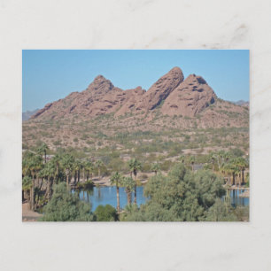 Thank You House Guest Desert Vacation Appreciation Postcard