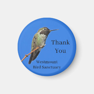 Thank You Hummingbird Non-Profit Appreciation Magnet