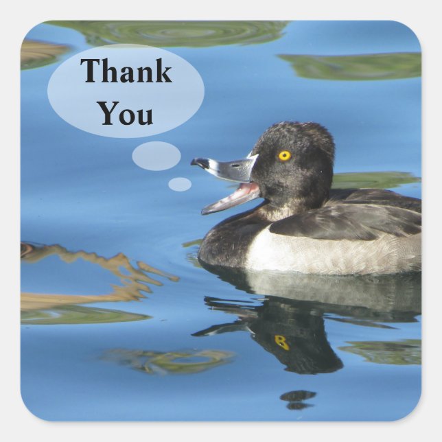 Thank You Humourous Duck Appreciation Square Sticker (Front)