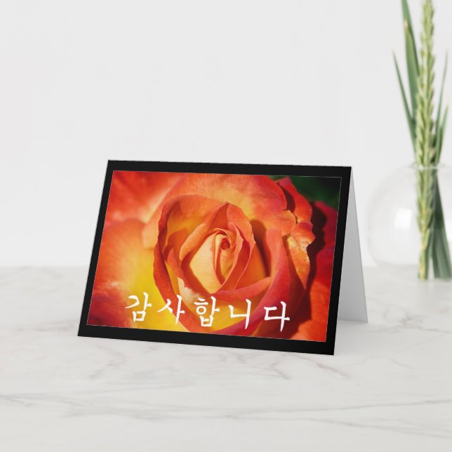 Thank you in Korean - orange rose Card (Front)