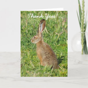 Thank You Jack Rabbit greeting card