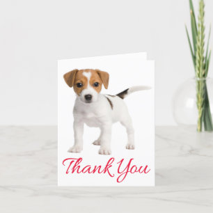 Thank You Jack Russell Terrier Puppy Dog Blank Card