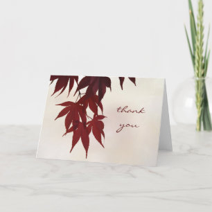 Thank You - Japanese Maple Leaves