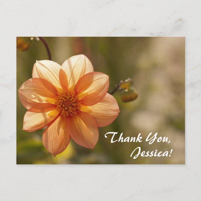 Thank You, Jessica! Postcard (Front)