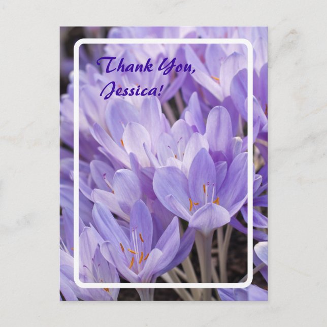 Thank You, Jessica! Postcard (Front)