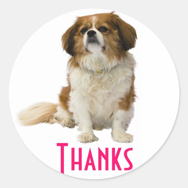 Thank You  King Charles Spaniel Puppy Sticker (Front)
