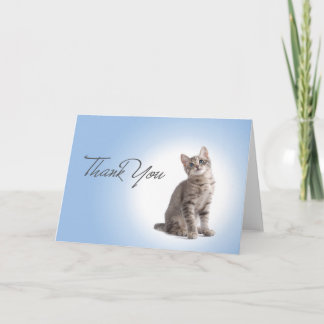 Thank You Kitten on Blue