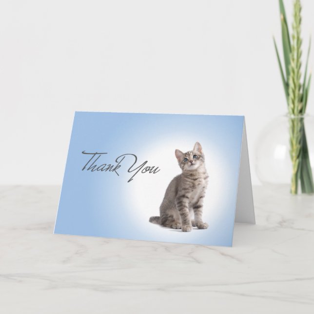Thank You Kitten on Blue Card (Front)