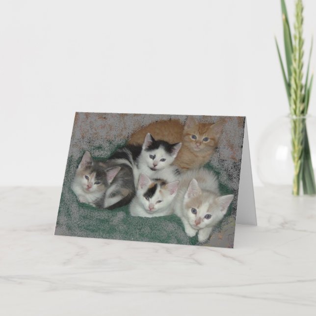 Thank You/Kittens Thank You Card (Front)