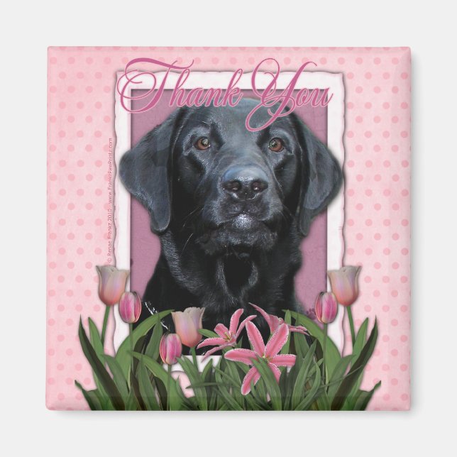 Thank You - Labrador - Black - Gauge Magnet (Front)