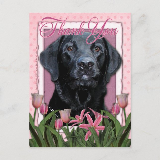 Thank You - Labrador - Black - Gauge Postcard (Front)