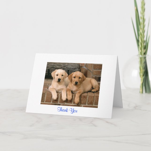 Thank You Labrador Retriever Puppies Greeting Card (Front)