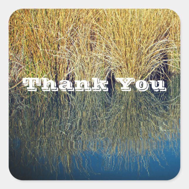 Thank You Lake Grass Relaxed Thanks For Anyone Square Sticker (Front)