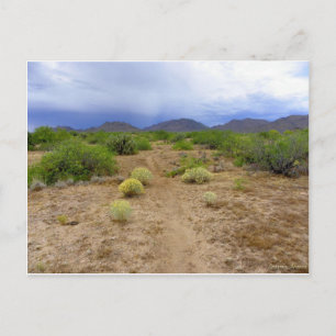 Thank You Lord For Today Postcard
