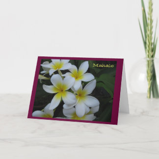 Thank you (Mahalo) card - white plumeria cascade