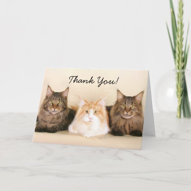 Thank You Maine Coon Cats greeting card (Front)
