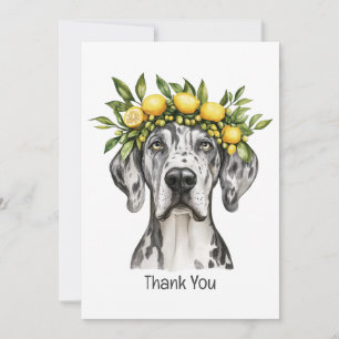 Thank You Merle Great Dane Dog Lemon Crown Card