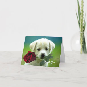 Thank You Note Card
