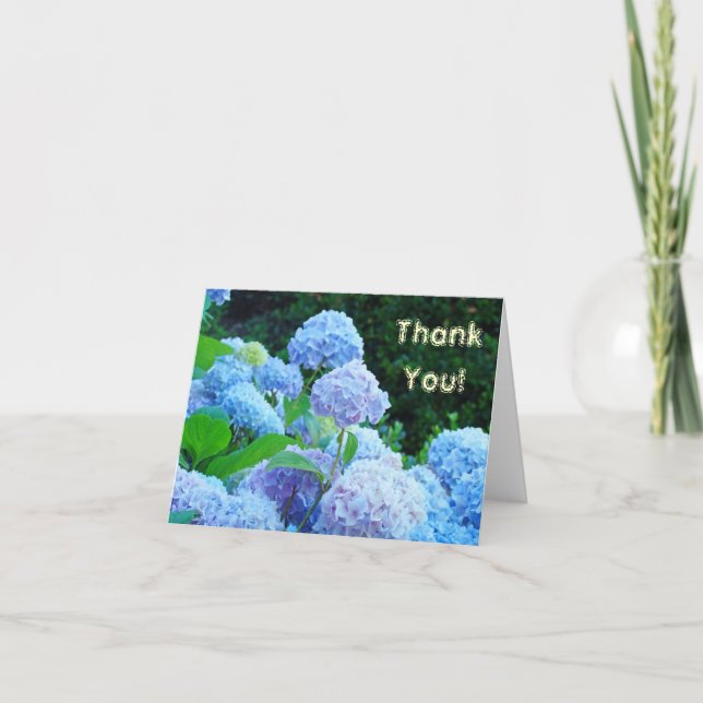 Thank You! Note cards Blue Hydrangea Flowers (Front)